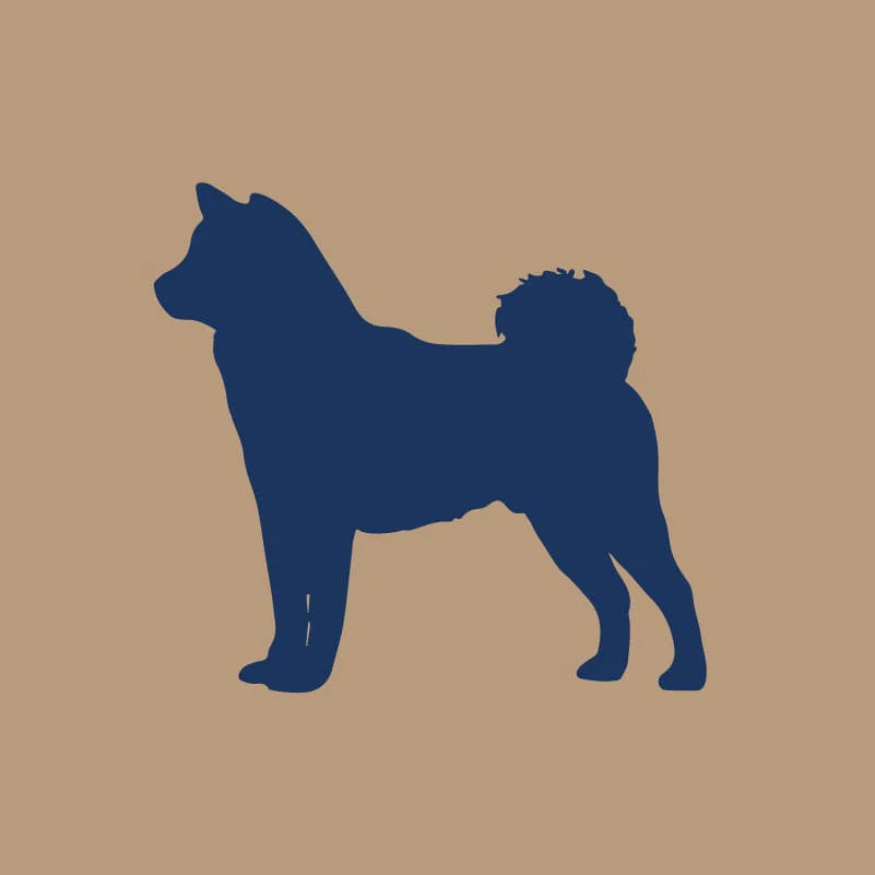 Shiba Inu AKC Embroidered Visor - Image 2