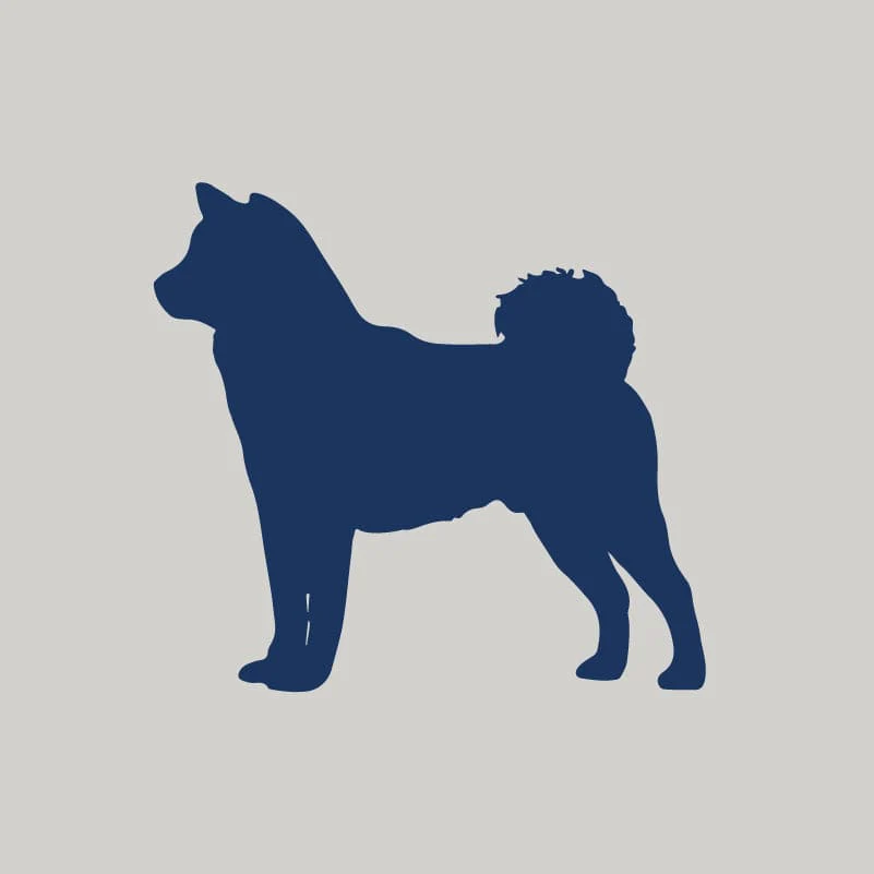 Shiba Inu AKC Embroidered Visor - Image 6