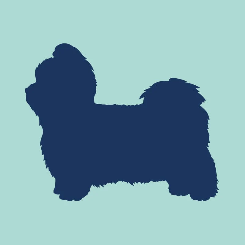 Shih Tzu Embroidered AKC Quarter Zip - Image 5