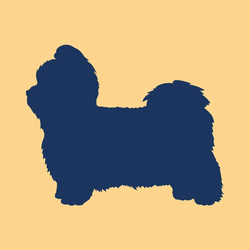 Shih Tzu Embroidered AKC Quarter Zip - Image 8