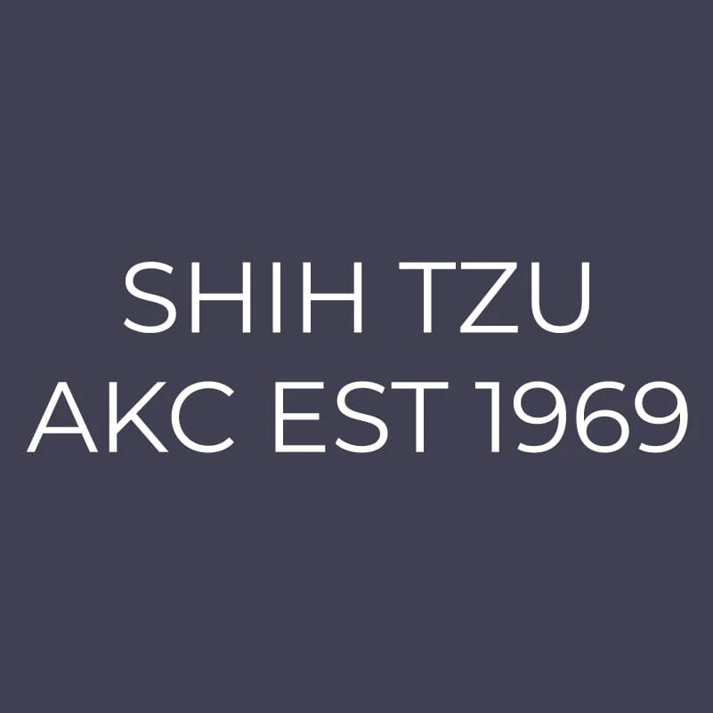 Shih Tzu Embroidered AKC Men's Polo - Image 8