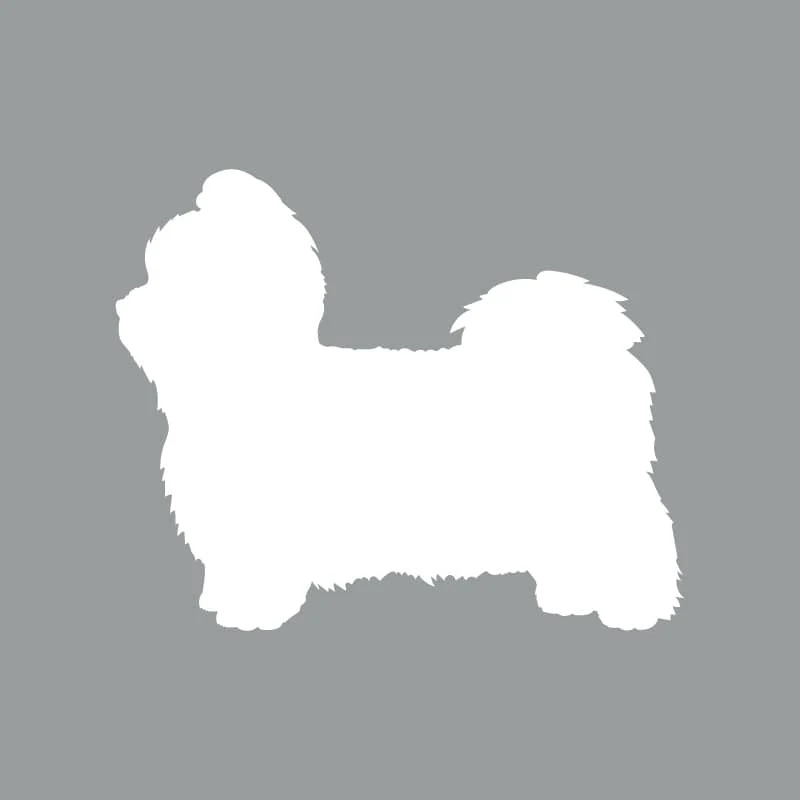 Shih Tzu - Beanie - Image 2