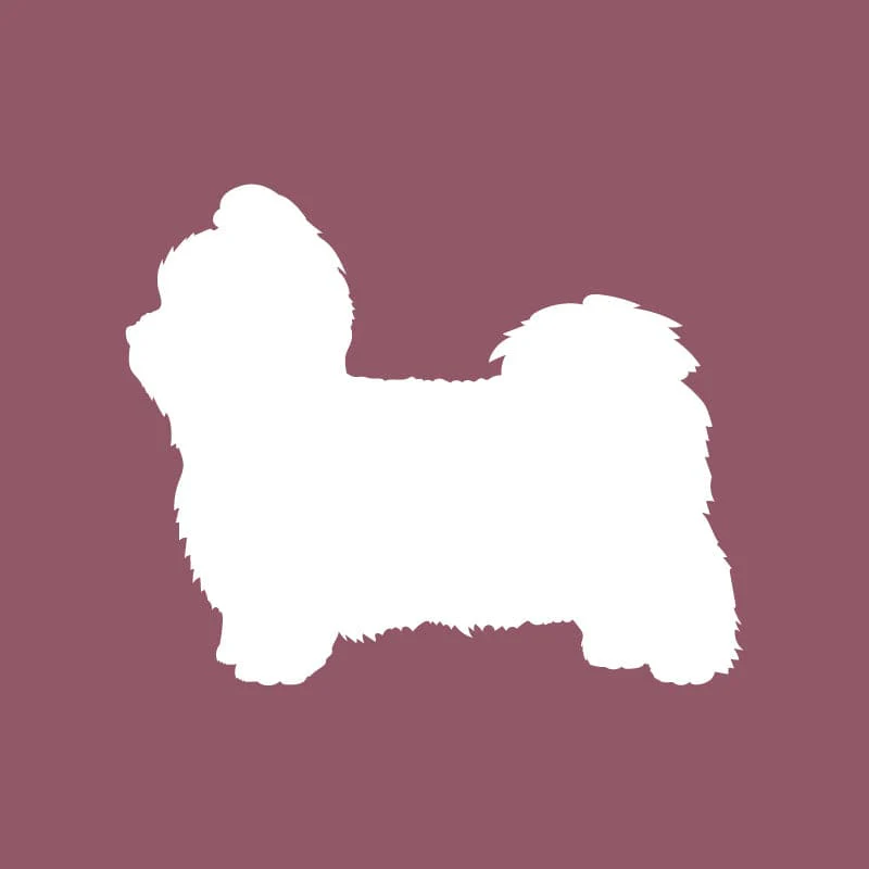 Shih Tzu - Beanie - Image 3
