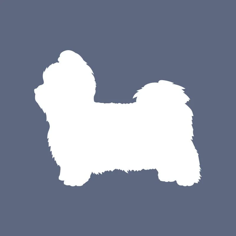 Shih Tzu - Beanie - Image 5