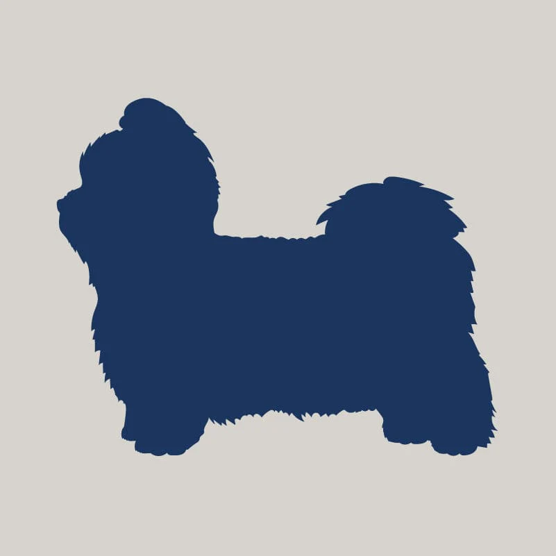 Shih Tzu AKC Embroidered Visor - Image 2