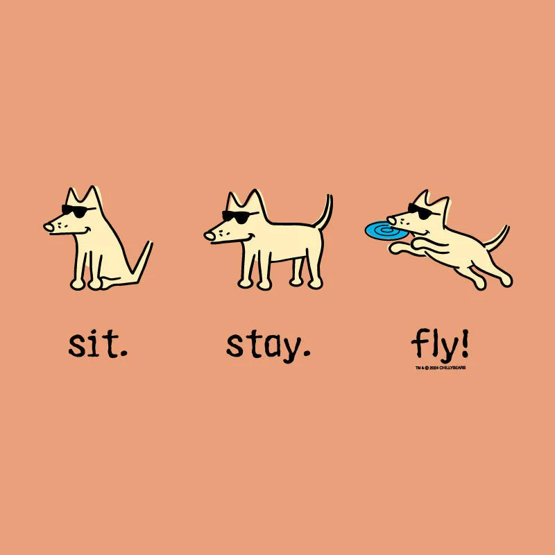 Sit Stay Fly - Ladies T-Shirt V-Neck - Image 2