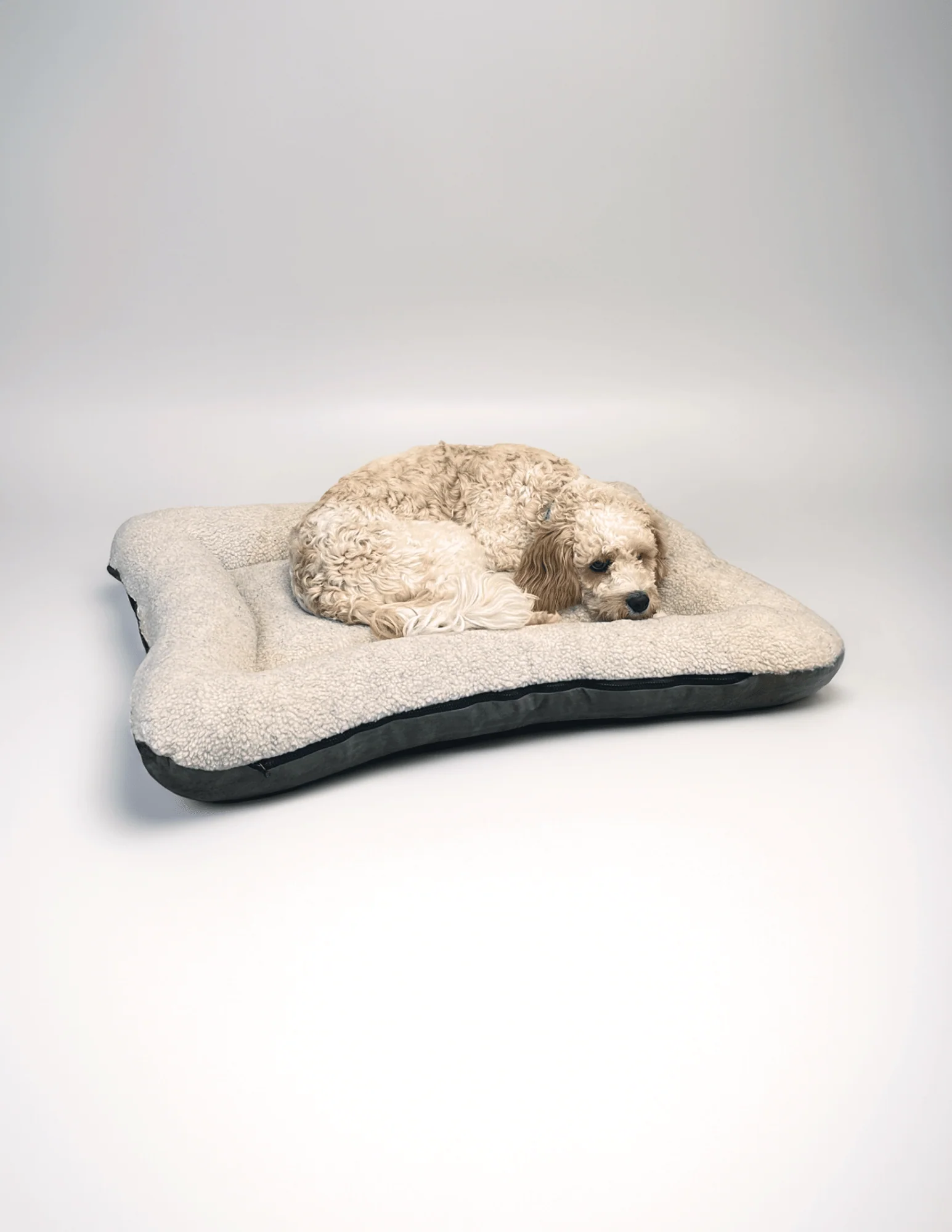 Snoozer All Day Reversible Dog Bed - Image 2