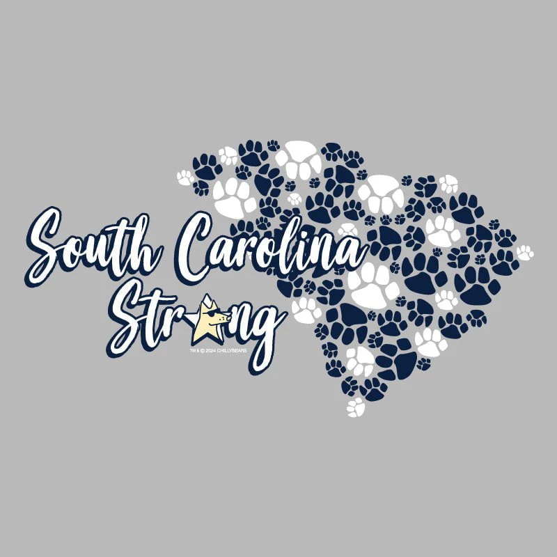 South Carolina Strong - Lightweight Tee - Image 2