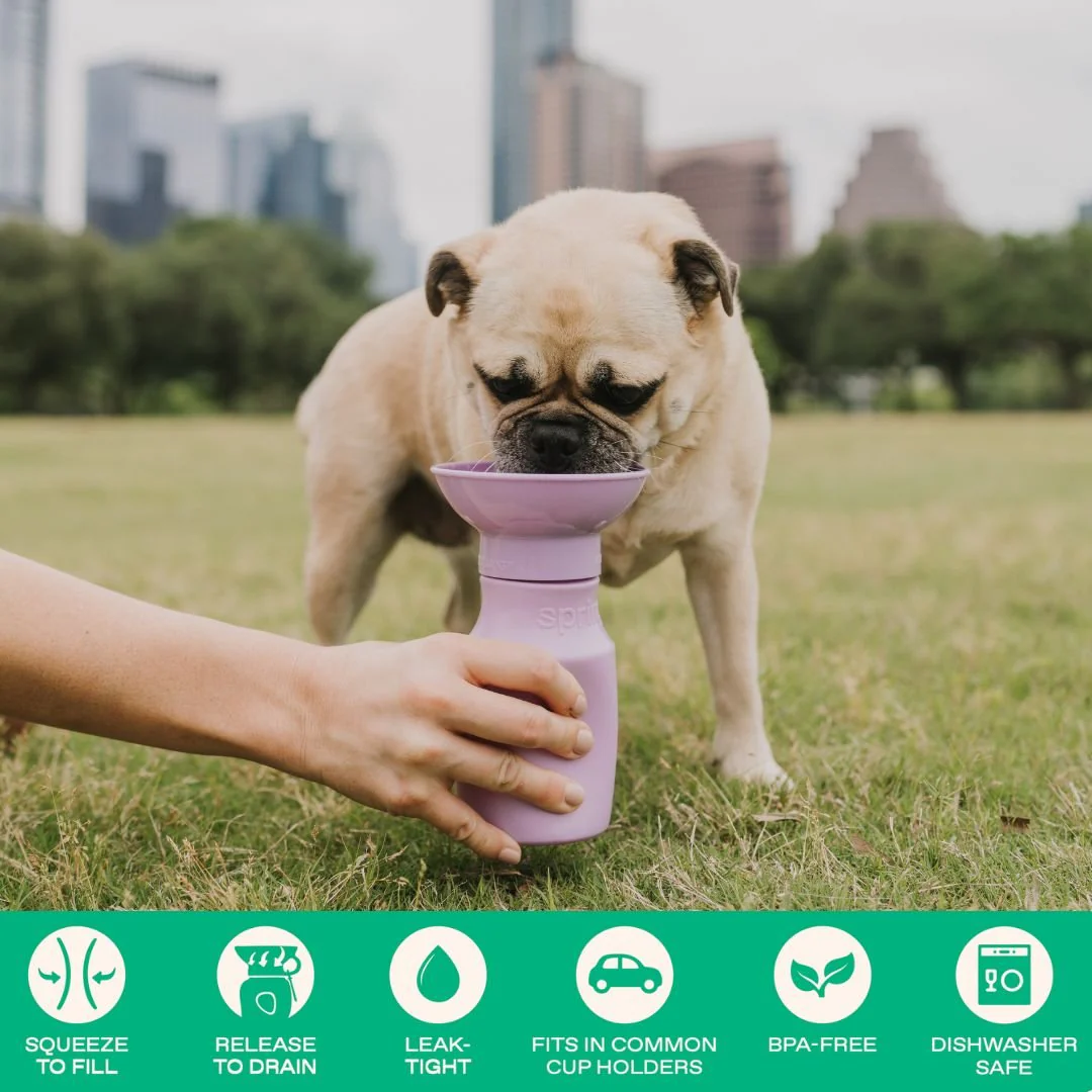 Springer Travel Dog Bottle - Image 3