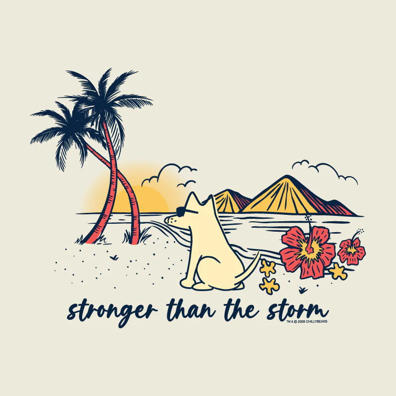 Stronger Than The Storm - Ladies T-Shirt V-Neck - Image 4
