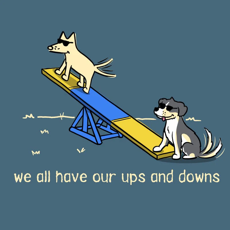 Ups And Downs - Lightweight Tee - Image 2