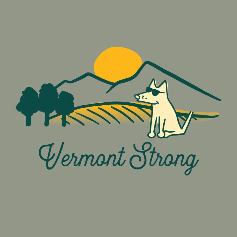Vermont Strong - Ladies Curvy V-Neck Tee - Image 2