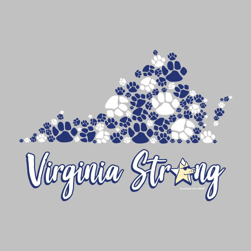 Virginia Strong - Lightweight Tee - Image 2