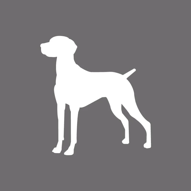Vizsla Embroidered AKC Men's Polo - Image 5
