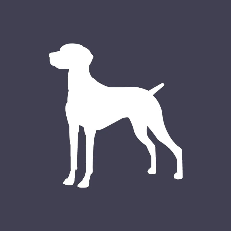 Vizsla Embroidered AKC Men's Polo - Image 8