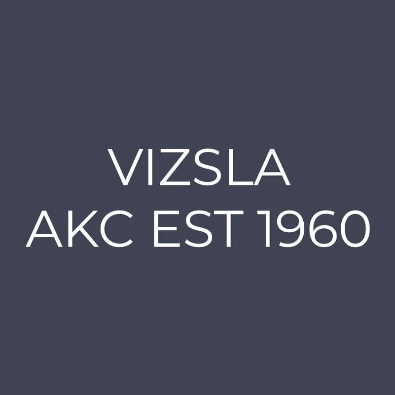 Vizsla Embroidered AKC Quarter Zip - Image 12