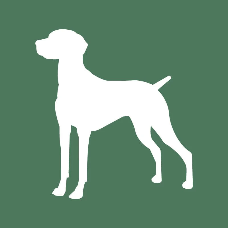 Vizsla Embroidered AKC Quarter Zip - Image 14