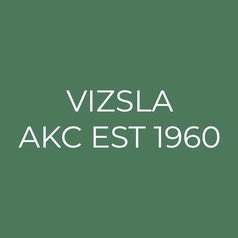 Vizsla Embroidered AKC Quarter Zip - Image 15