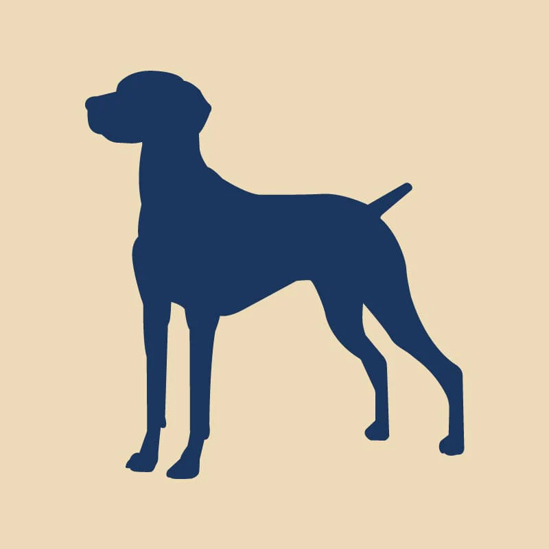 Vizsla Embroidered AKC Quarter Zip - Image 17