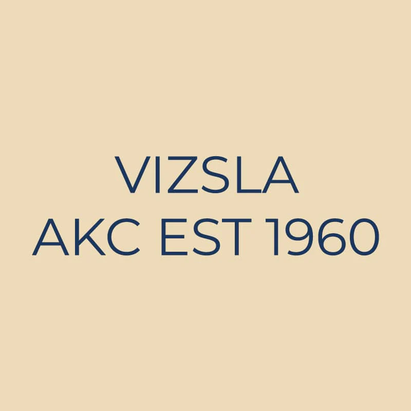Vizsla Embroidered AKC Quarter Zip - Image 18