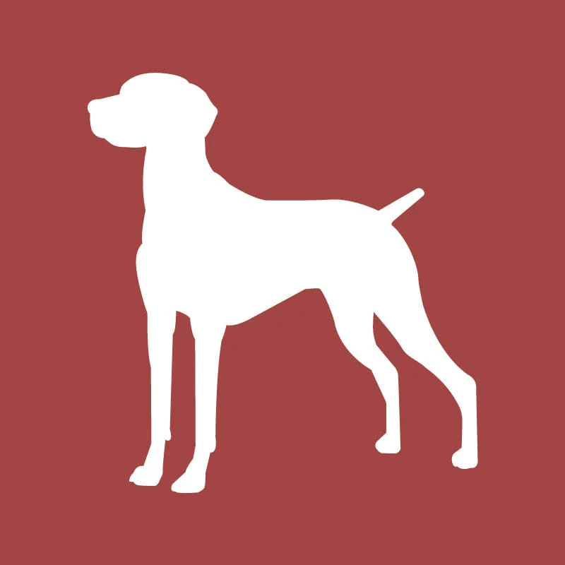 Vizsla Embroidered AKC Quarter Zip - Image 2