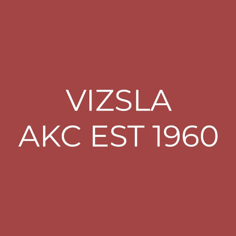 Vizsla Embroidered AKC Quarter Zip - Image 3