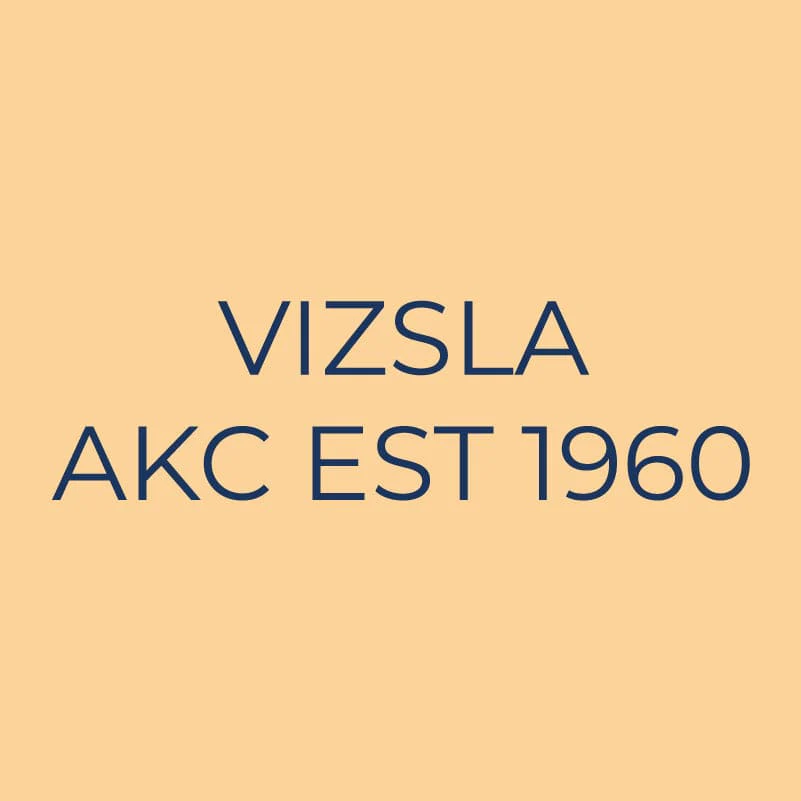 Vizsla Embroidered AKC Quarter Zip - Image 6