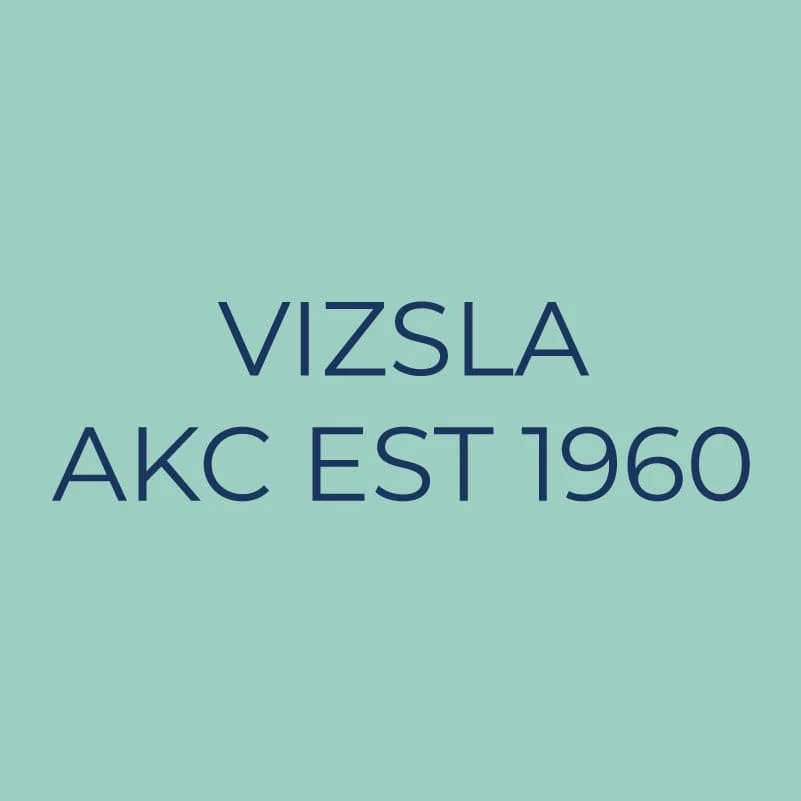 Vizsla Embroidered AKC Quarter Zip - Image 9