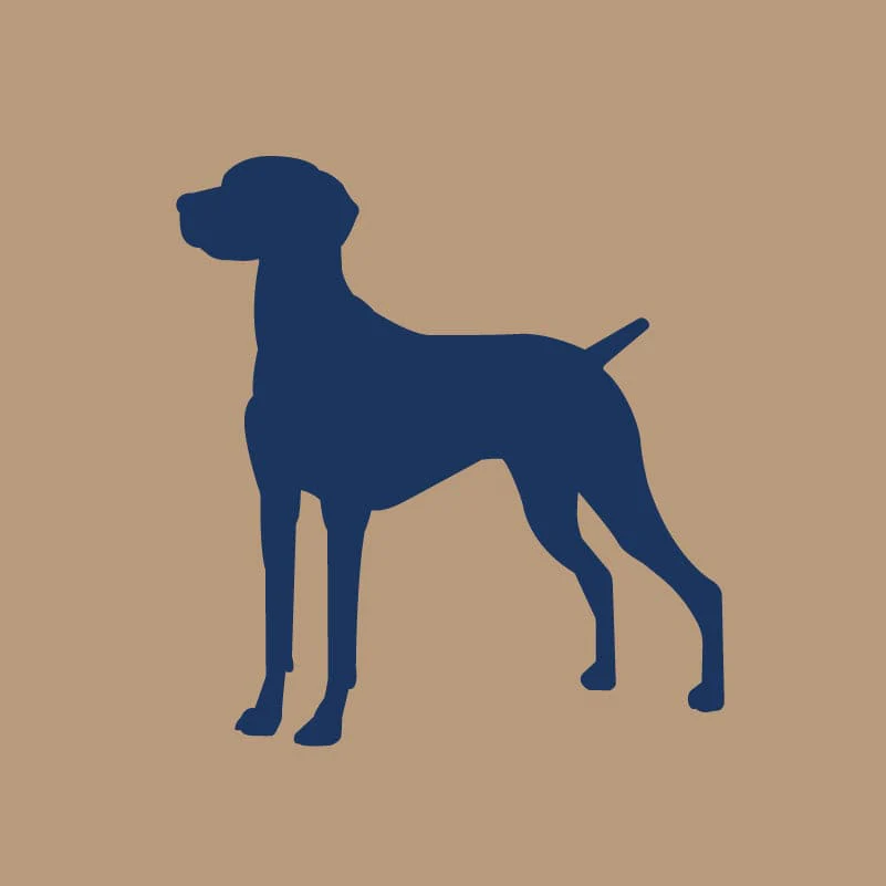 Vizsla AKC Embroidered Visor - Image 6