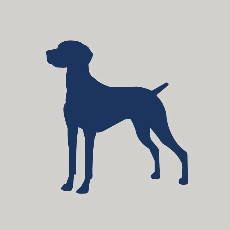 Vizsla AKC Embroidered Visor - Image 8