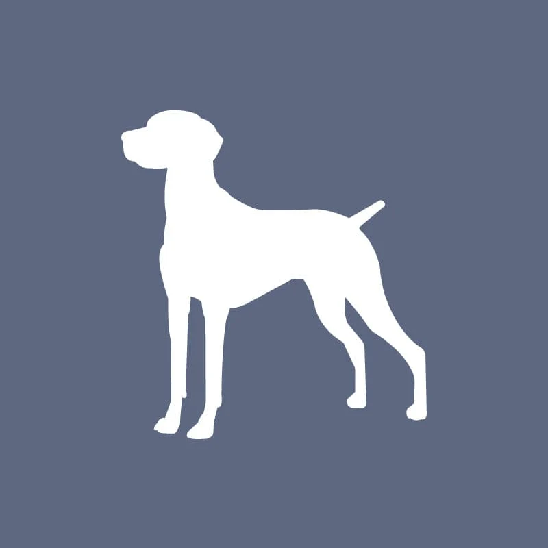 Vizsla - Beanie - Image 2