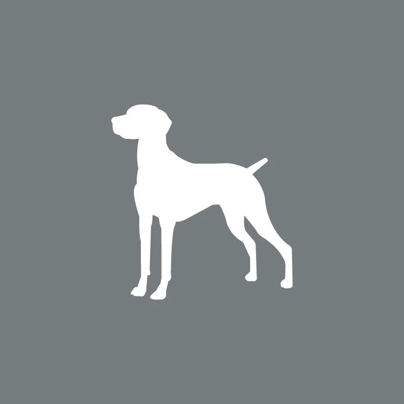 Vizsla - Beanie - Image 4