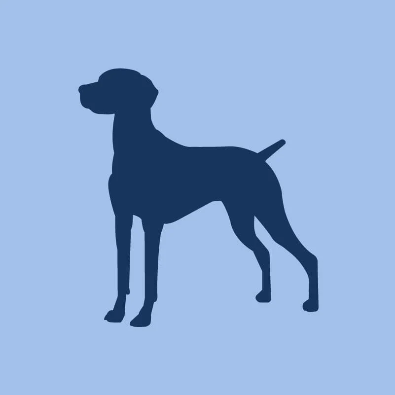 Vizsla Children's Full Zip Sweatshirt - Image 4