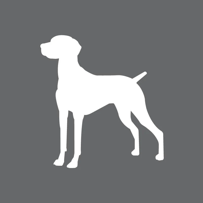Vizsla Toddler Full Zip Sweatshirt - Image 4