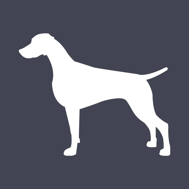 Weimaraner Embroidered AKC Quarter Zip - Image 11