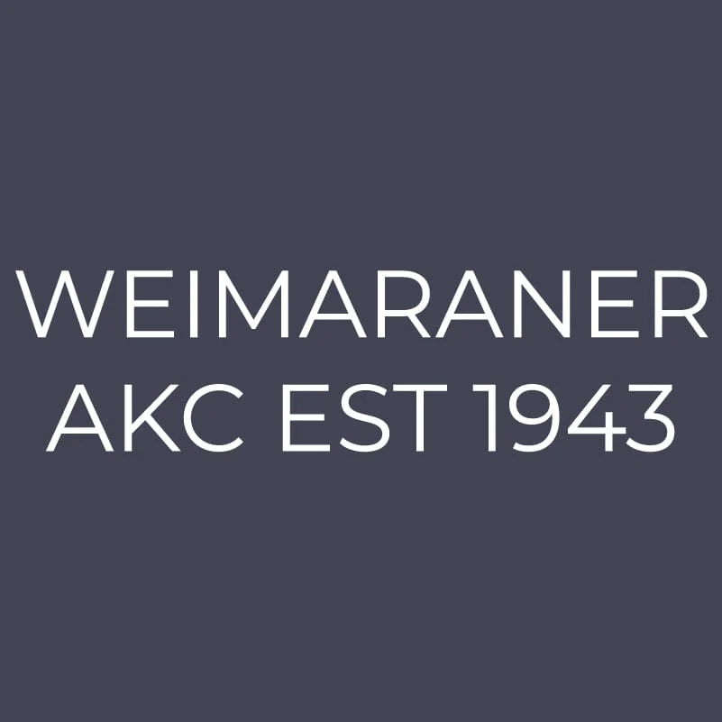 Weimaraner Embroidered AKC Quarter Zip - Image 12
