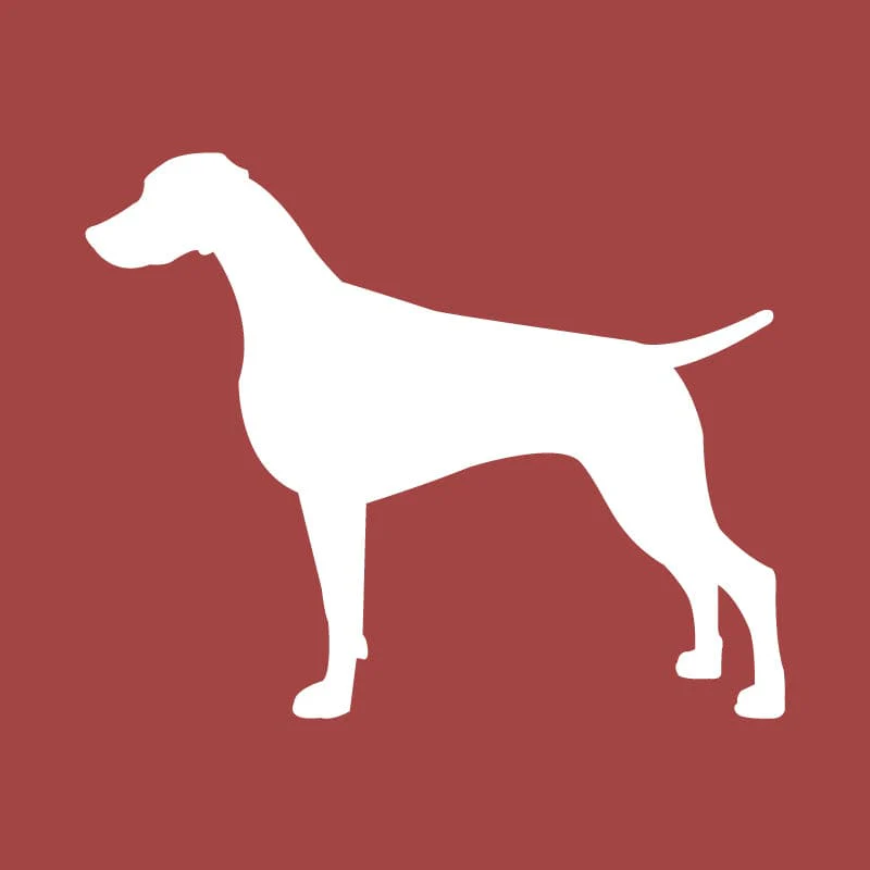 Weimaraner Embroidered AKC Quarter Zip - Image 14