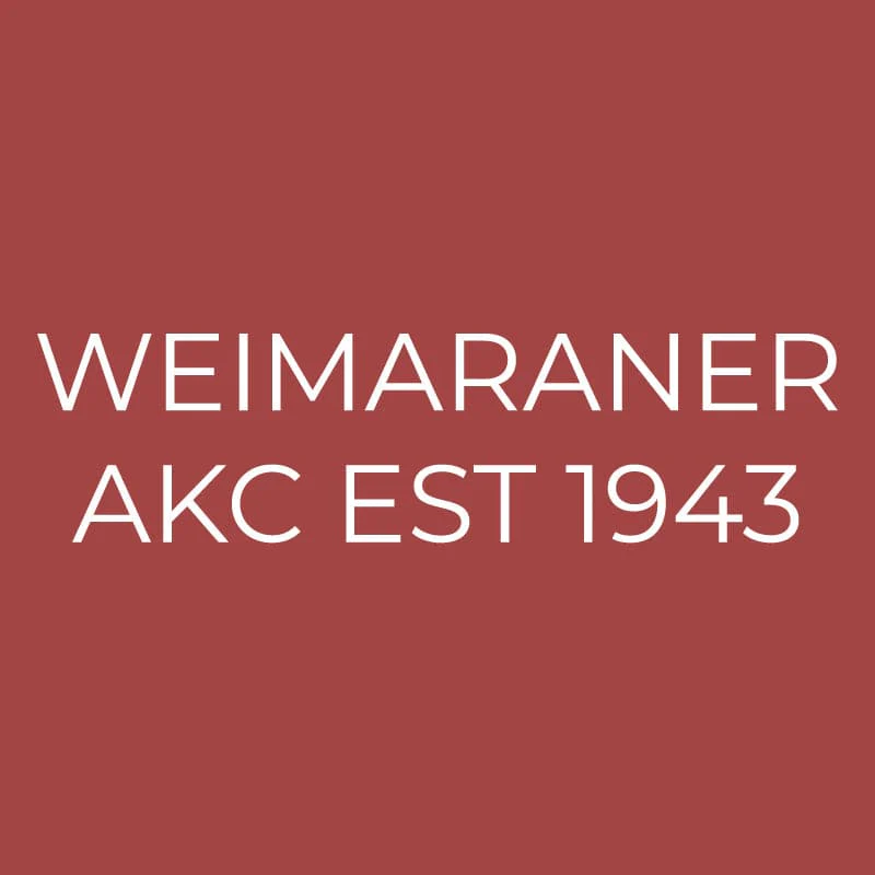 Weimaraner Embroidered AKC Quarter Zip - Image 15