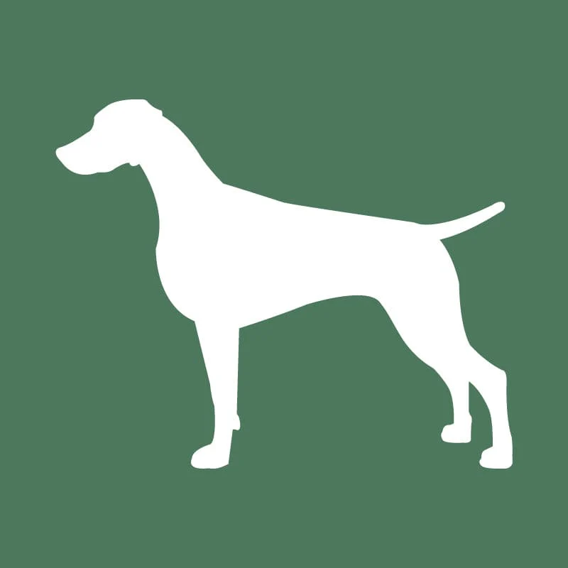 Weimaraner Embroidered AKC Quarter Zip - Image 17