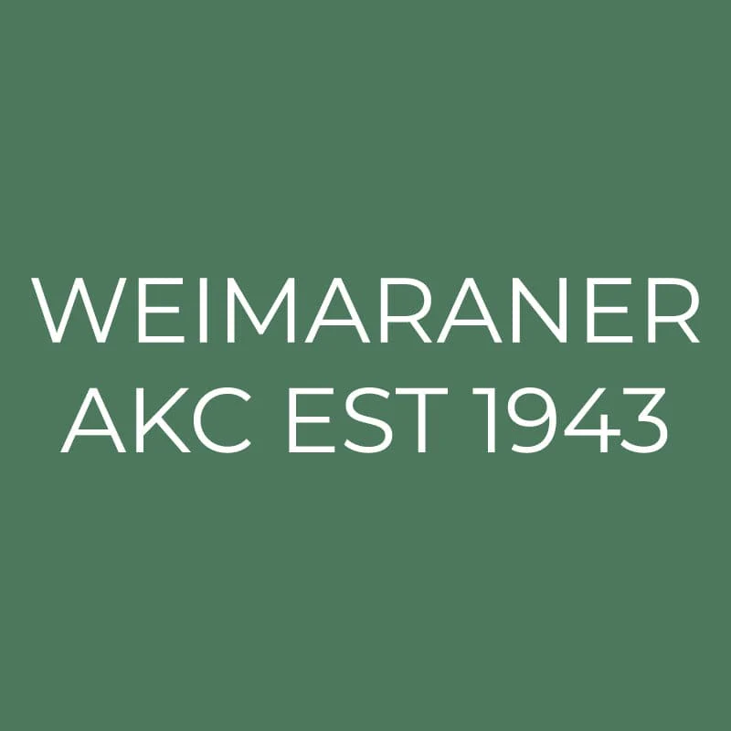 Weimaraner Embroidered AKC Quarter Zip - Image 18