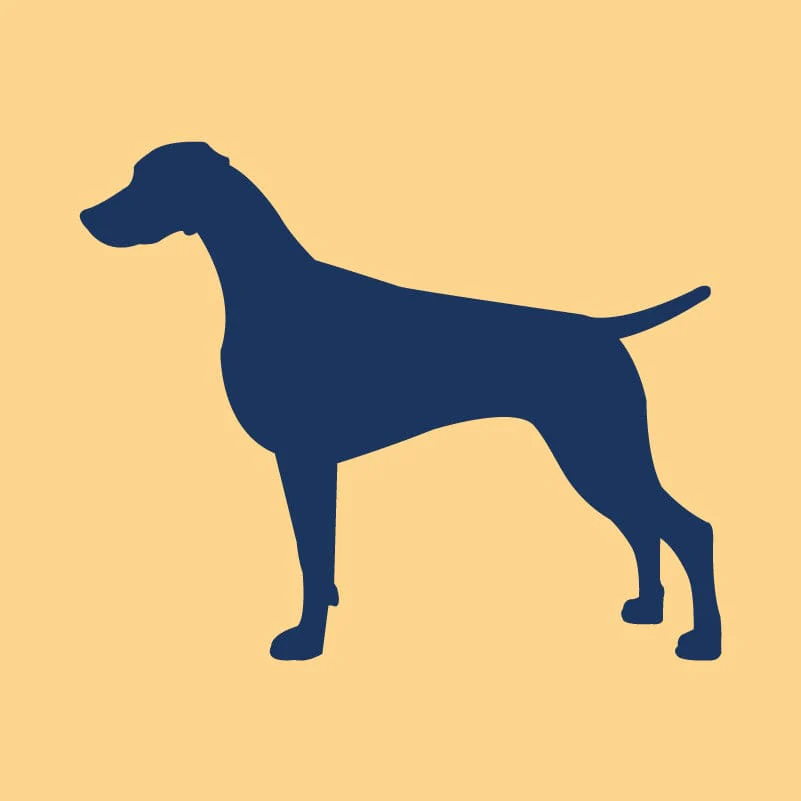 Weimaraner Embroidered AKC Quarter Zip - Image 5