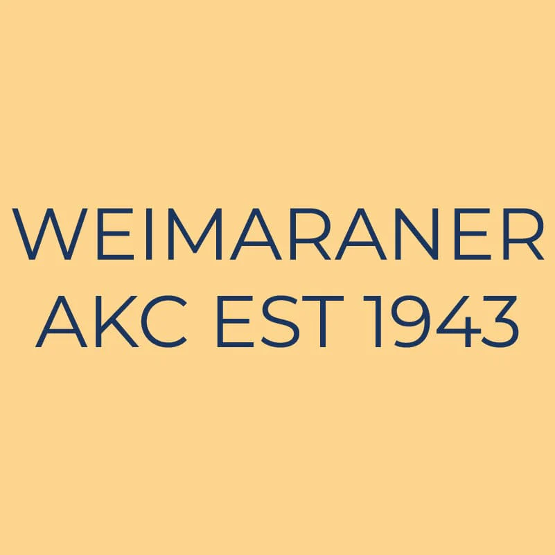 Weimaraner Embroidered AKC Quarter Zip - Image 6