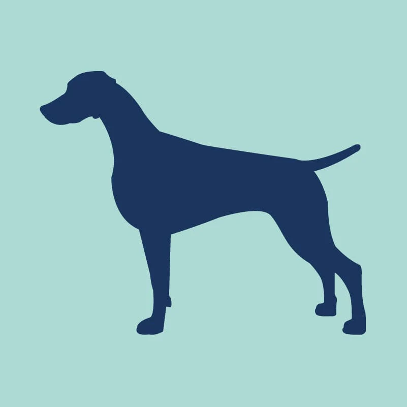 Weimaraner Embroidered AKC Quarter Zip - Image 8