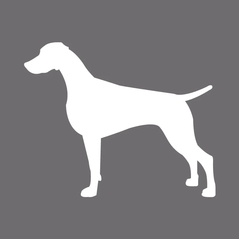 Weimaraner  Embroidered AKC Men's Polo - Image 4
