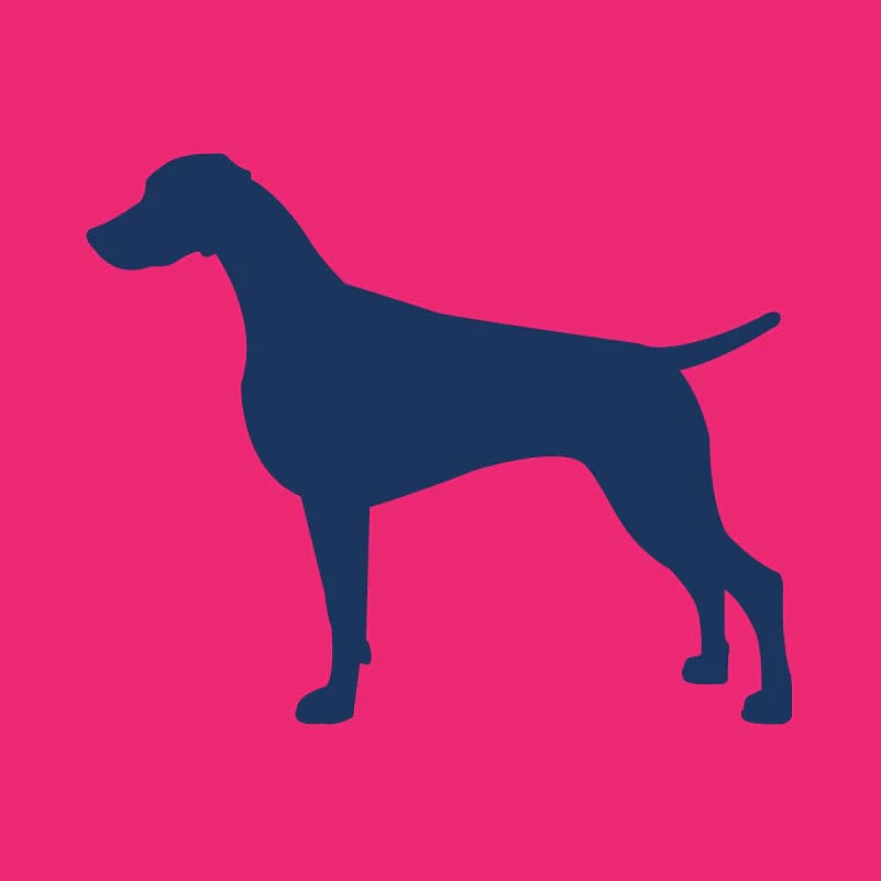 Weimaraner Infant Onesie - Image 2