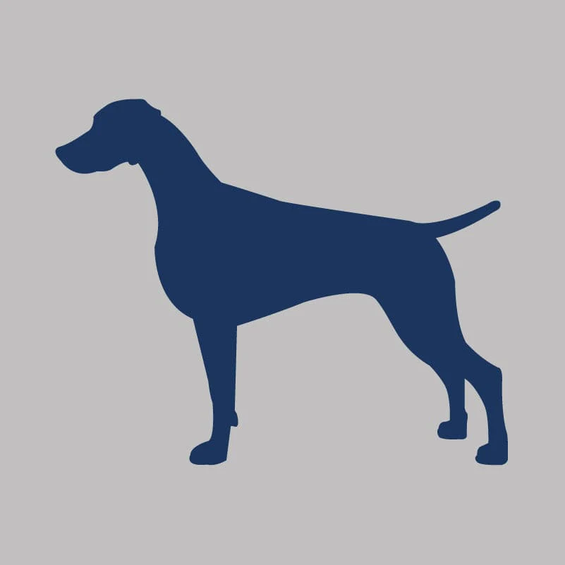 Weimaraner Infant Onesie - Image 3