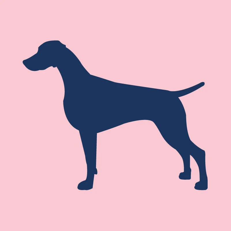 Weimaraner Infant Onesie - Image 7