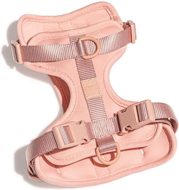 Wild One Adjustable Cushioned Dog Harness - Image 4