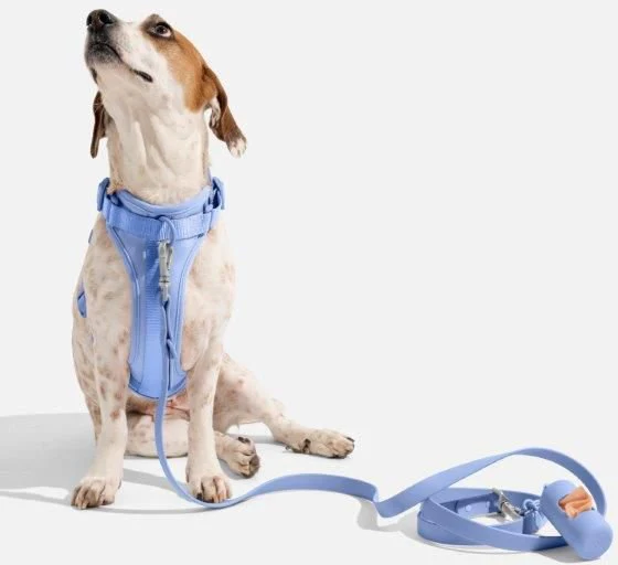 Wild One Adjustable Cushioned Dog Harness - Image 9