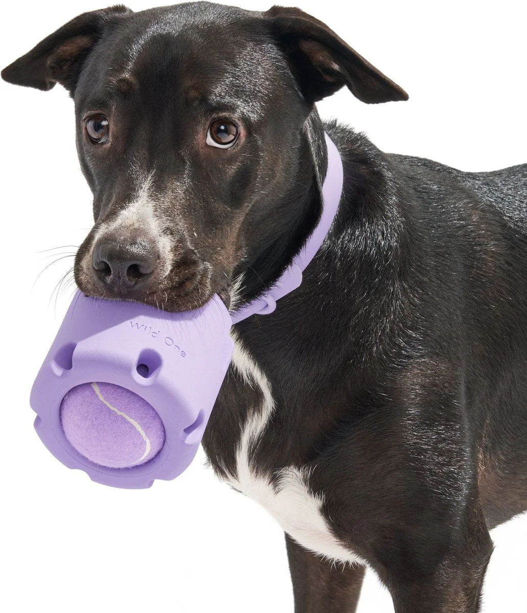 Wild One Tennis Ball Plush Dog Toy - Image 5